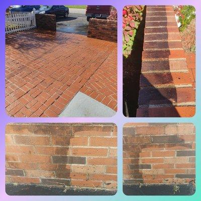 Brick Patio and Wall cleaning.