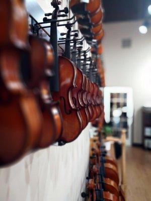 Violin House