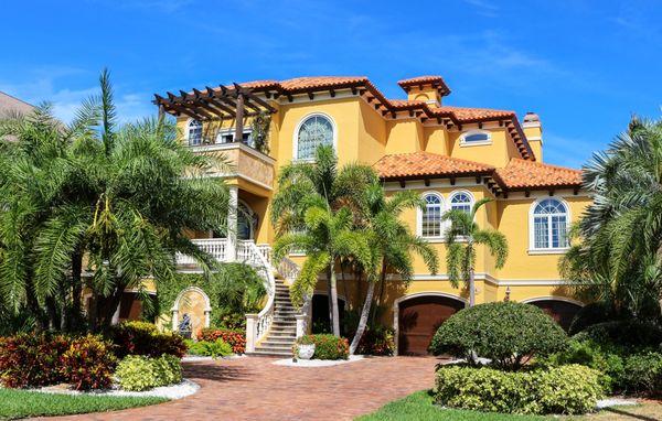 Tree Service Palm Beach