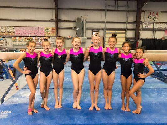 Level 7 and 8 Gymnastics Team