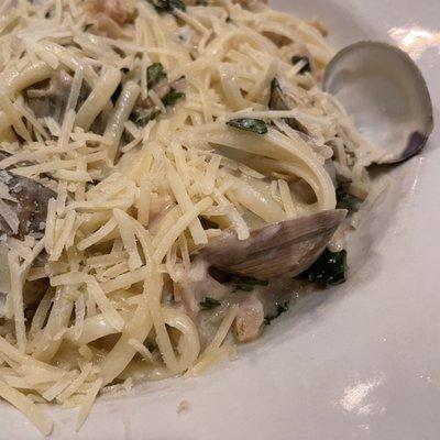 Linguine with clams in white sauce