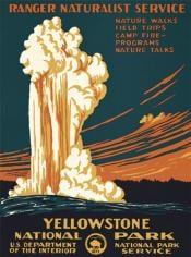 Our Yellowstone Geyser poster.