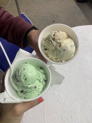 Mint chocolate chip ice cream & Cannoli ice cream