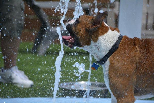 This guy was having a blast with the fountain.