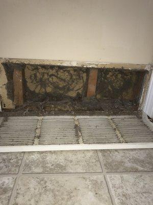 8 year old home in Germantown TN Air duct cleaning dryer vent cleaning licensed HVAC