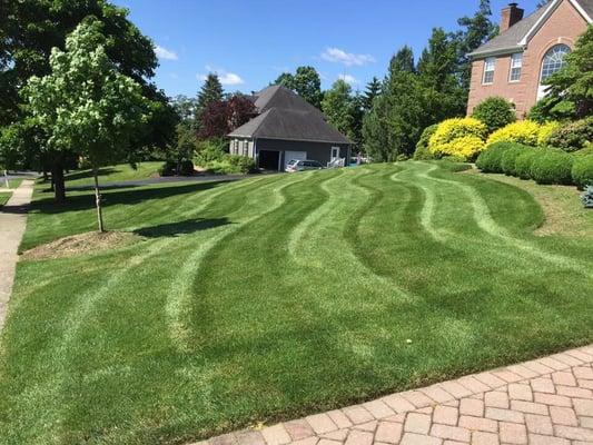 A recent lawn cutting!