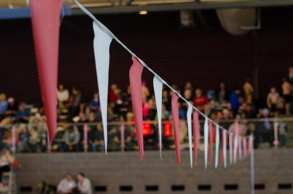 Flags over the pool for backstrokers