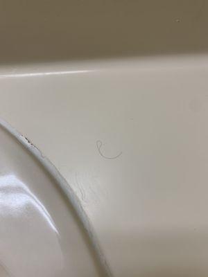 Pan in closely....short black hair on bathroom counter.