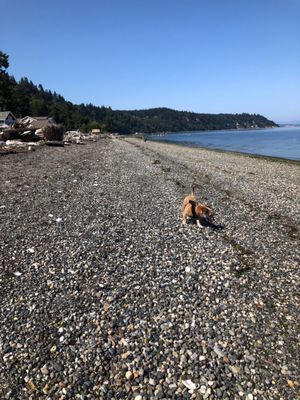 Long Beach front at low tide.