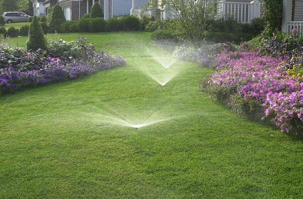 Repair and install irrigation system