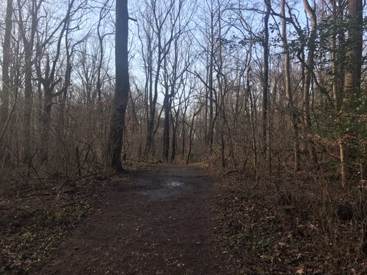 Beautiful trails.....marked well, easy to follow and understand with beautiful views. Would definitely visit here again. 5 stars.