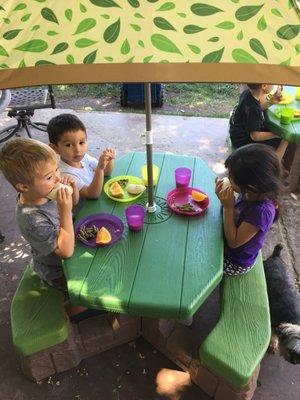 Outdoor picnic