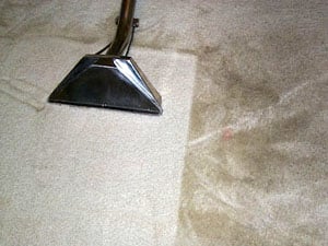 Carpet cleaning results