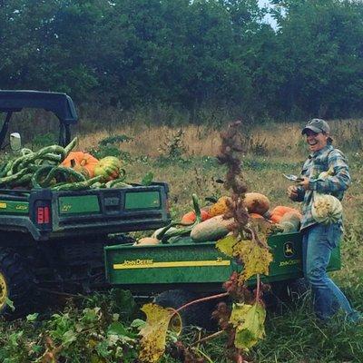 Harvest at Hackmans Farm Market