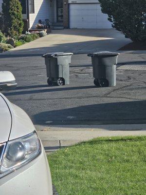 Two of my trashcans left in the middle of my cul de sac.