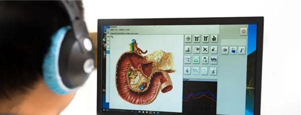 BioResonance Scan+Therapy session