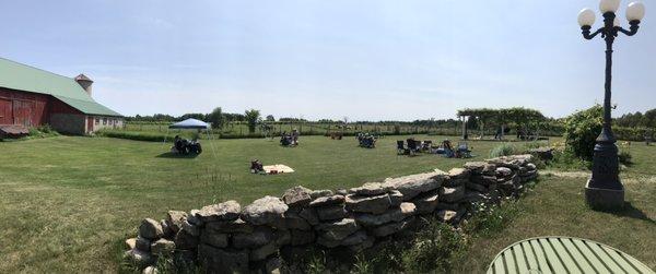 A beautiful summer day with live music and horses!