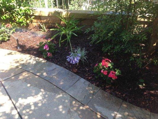 More flowers and bushes, after all the old ugly trees were removed