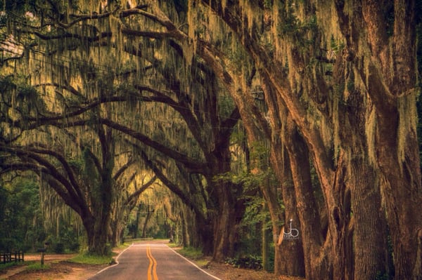 An island with a view: Traveling south on A1A, Amelia Island, FL