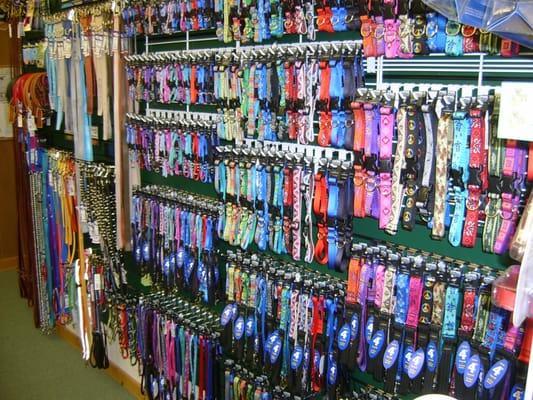 Vast wall of collars, leashes and harnesses by Lupine Pet, guaranteed even if chewed!