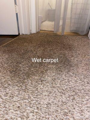 Wet carpet from ac unit