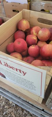 Apple picking from a basket