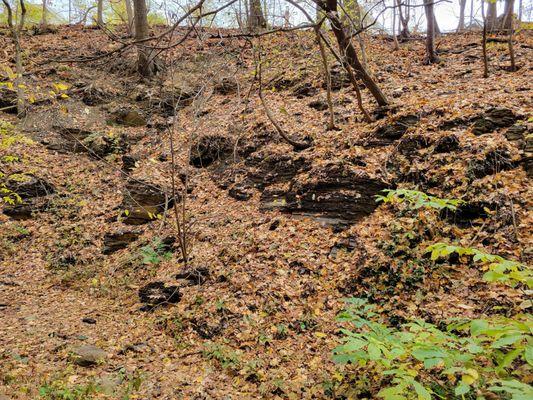 Shale in Walhalla Ravine