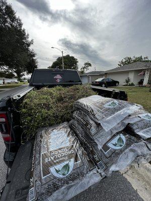 Process of Chocolate Brown Mulch Installation Service