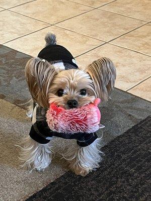 My Charlie with his favorite toy.