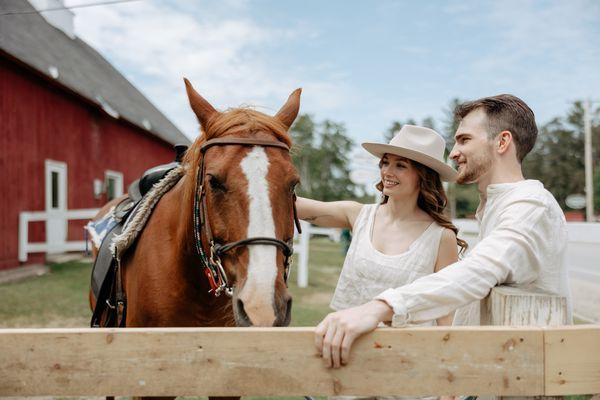 Franconia Notch Stables