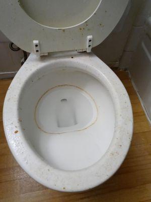 Toilet before