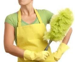 Cande's House Cleaning Service