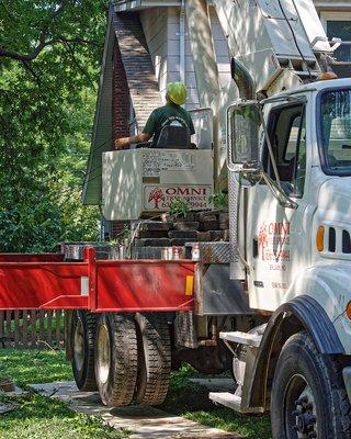 Omni Tree Service, Inc. - Tree Removal