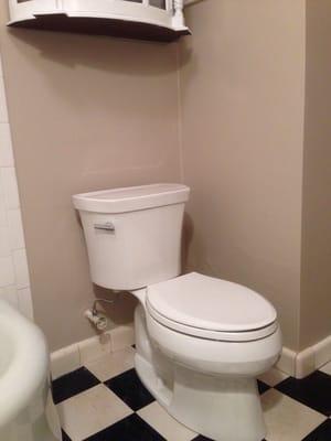 New toilet!