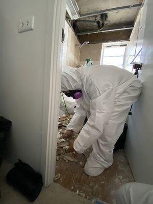 Wether it's water or mold, safety is our priority. The proper PPE must always be worn.