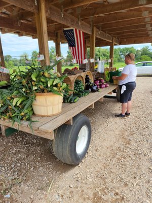 The owner, arranging fresh produce for sale.