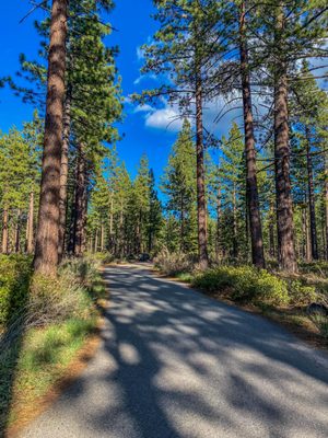 Step outside your room and walk the paved path to the lake in Tahoe