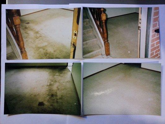 Before and After Cleaning Carpet Actual Picture Taken on Job Site.