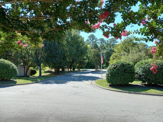 Exit and entry into The Pines Apartments.