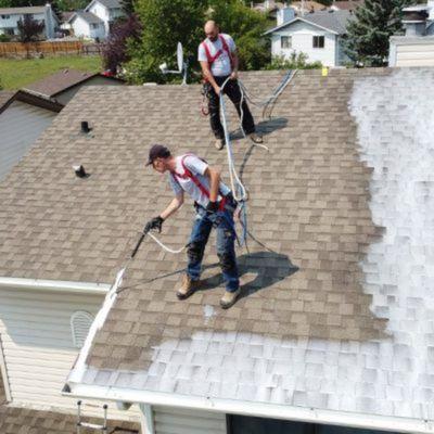 Shingle roof cleaned