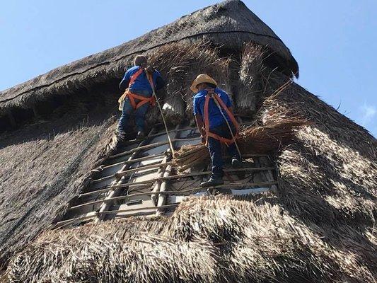 Thatched roofing!