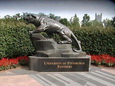 Pitt Panther