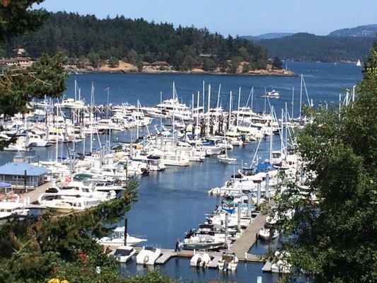 Friday Harbor