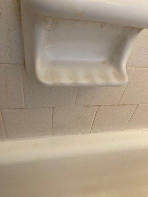 Shower soap dish