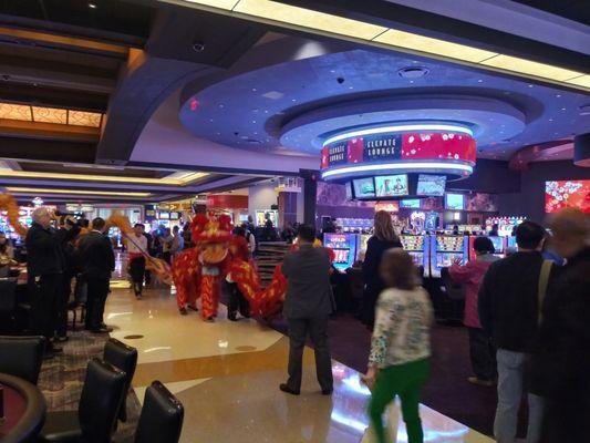 Chinese Lunar New Year's lion dance celebration turned into an exciting parade on January 25th, 2020