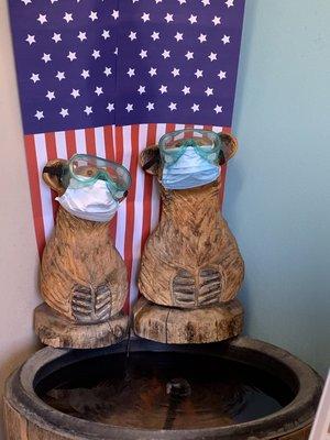 4th of July COVID ready Bears