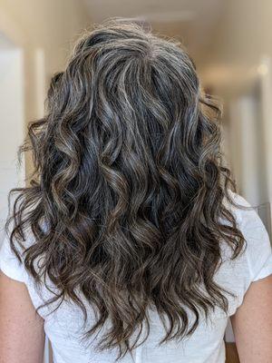 Gray transition with dark lowlights and color gloss with olaplex treatment