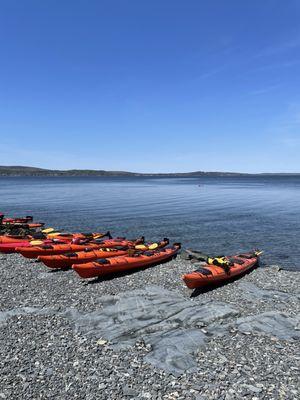 Break time on burnt porcupine island