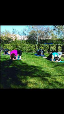 Corporate Yogi's balancing the body outdoors