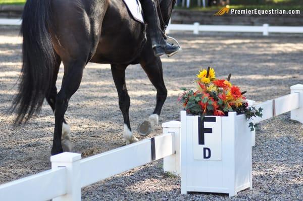 Classic Dressage Arena and Burlingham Sports Flower Box